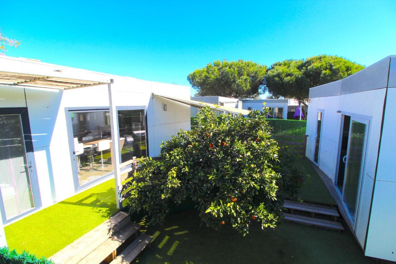 Villa Casa De Cedros Setúbal Esterno foto